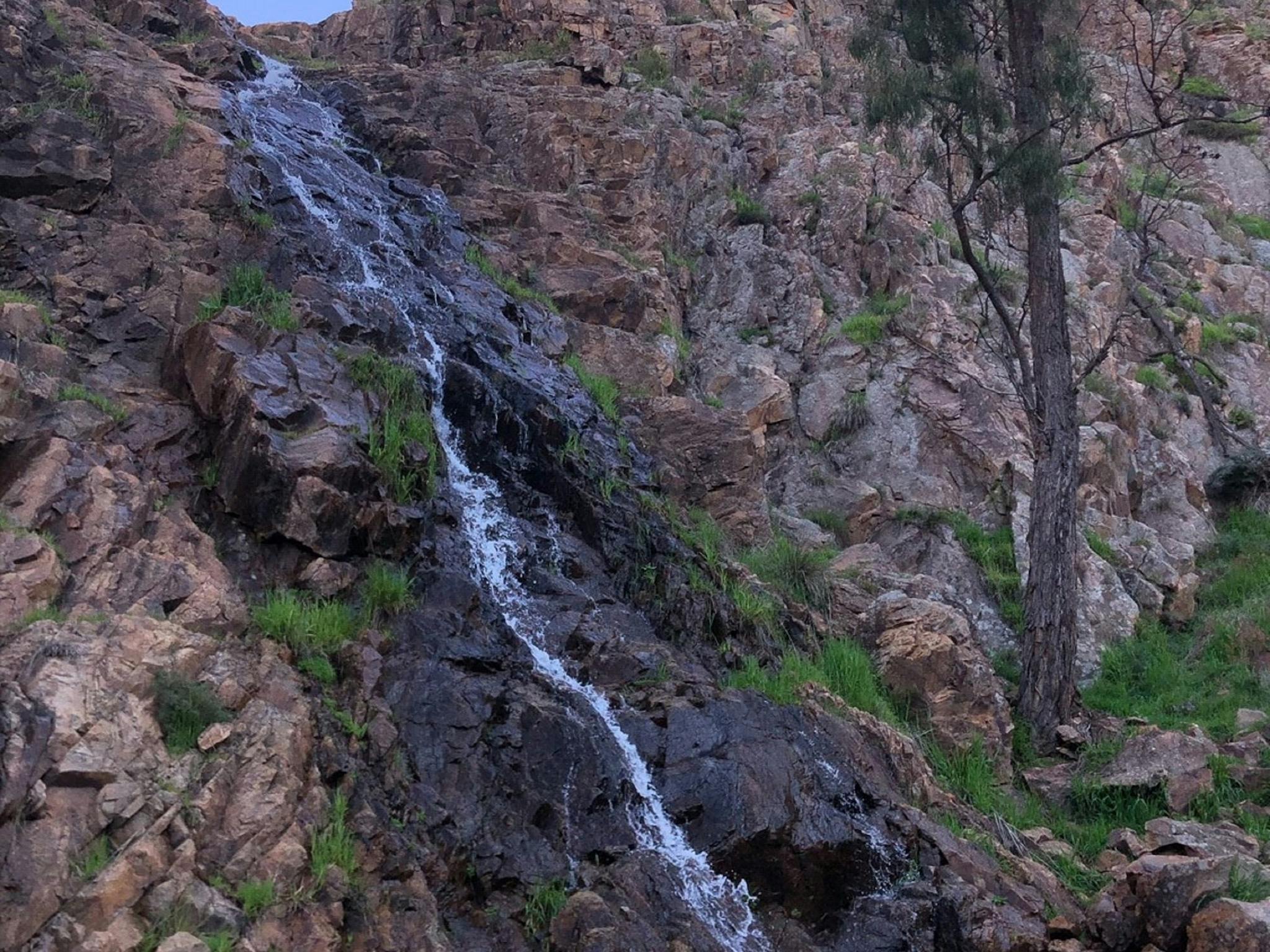 Closeup of Waterfall cascading over rocks and bolders, native grasses, tree,