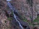 Closeup of Waterfall cascading over rocks and bolders, native grasses, tree,
