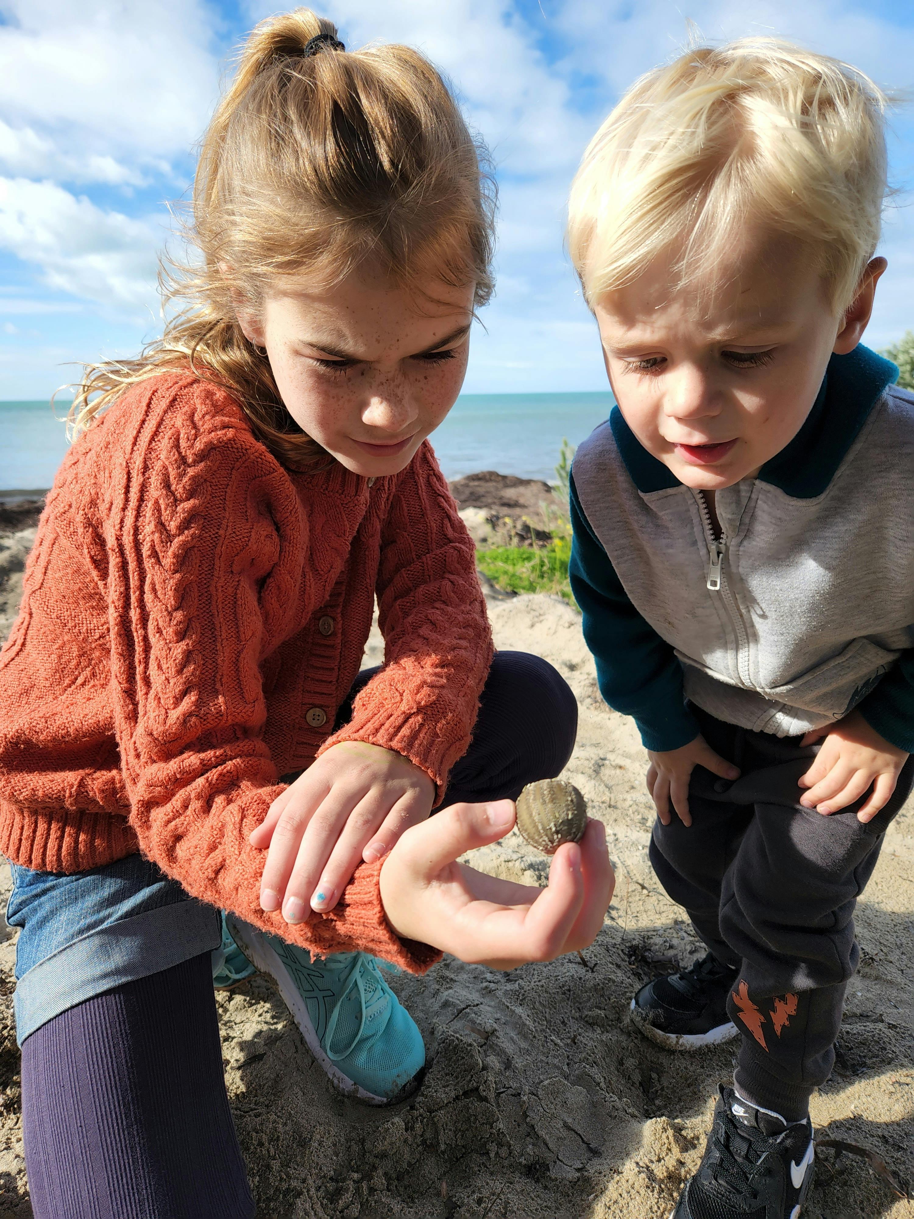 Exploring the natural world