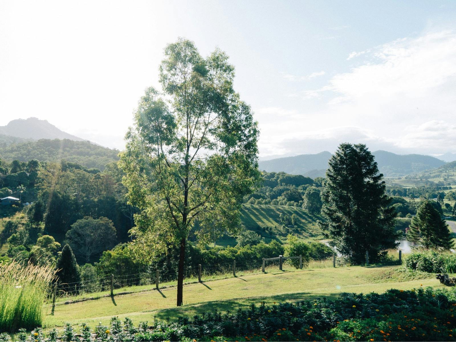 Meadows, trees and hills - the view over the Caldera