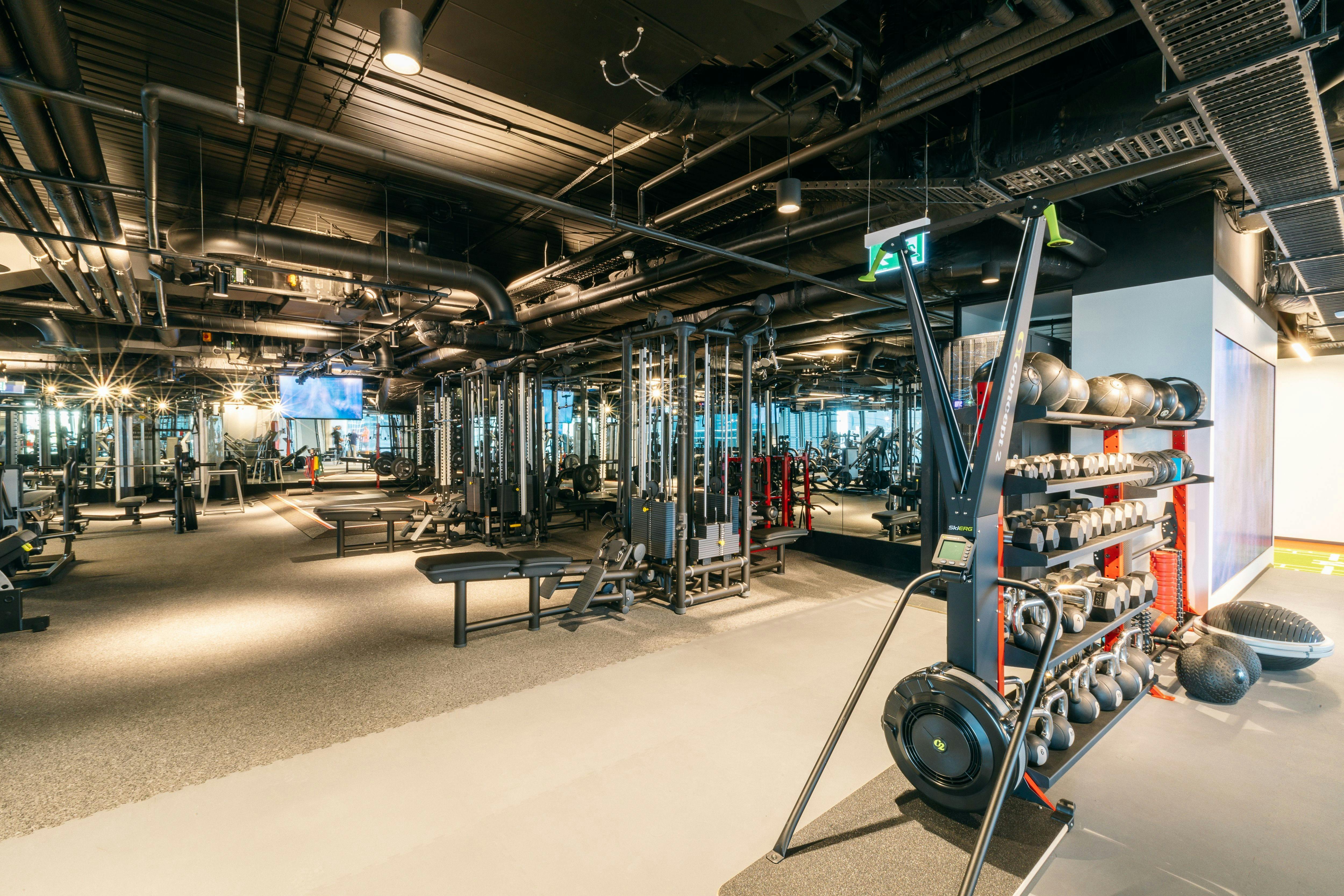 Plenty of strength equipment