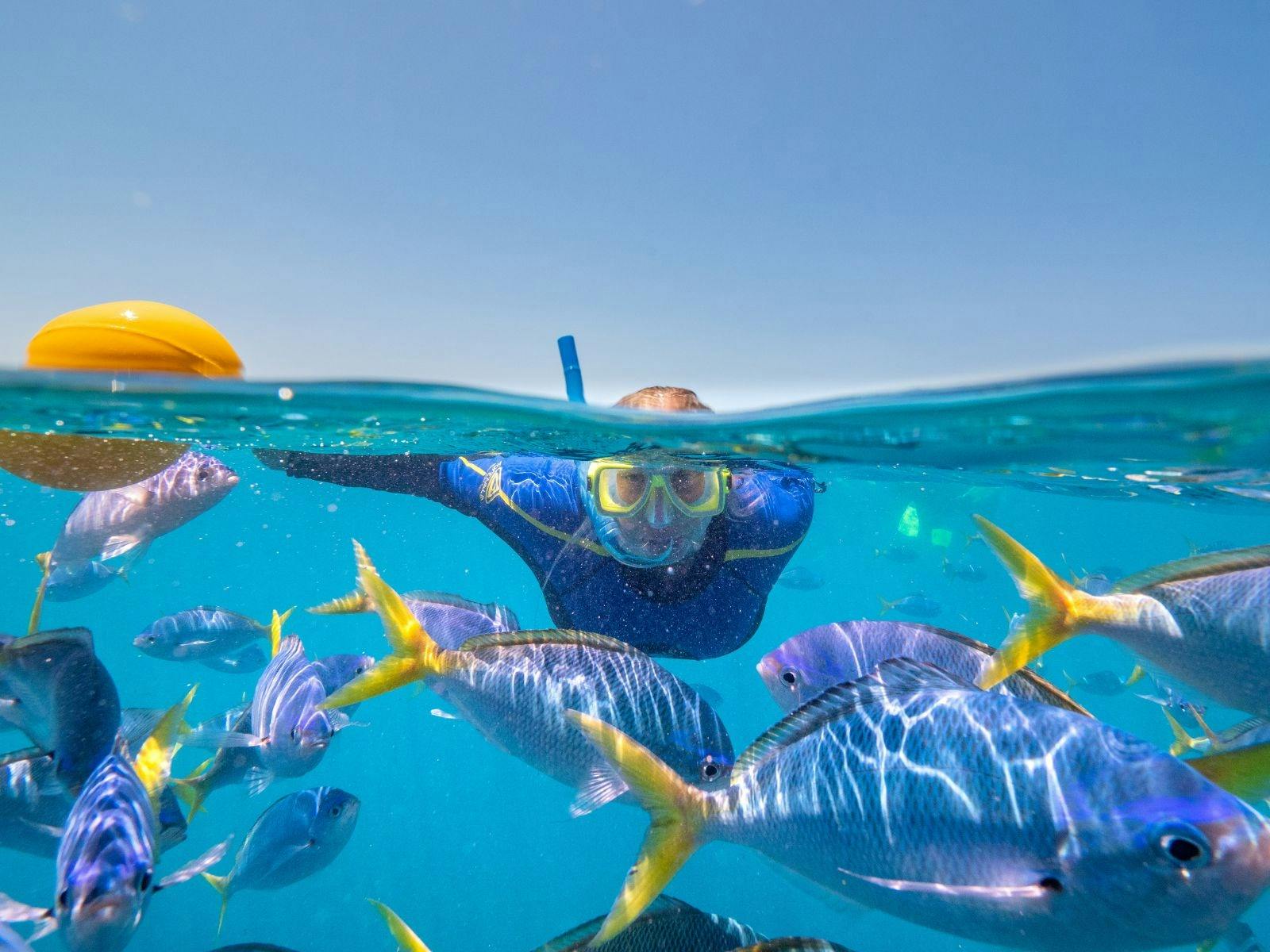 A snorkeller underwater