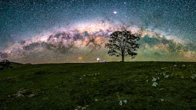 Milky Way Bow