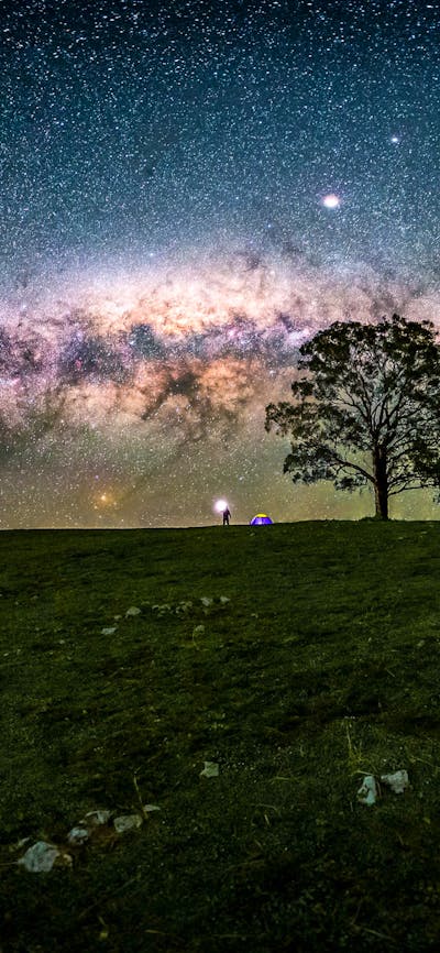Milky Way Bow
