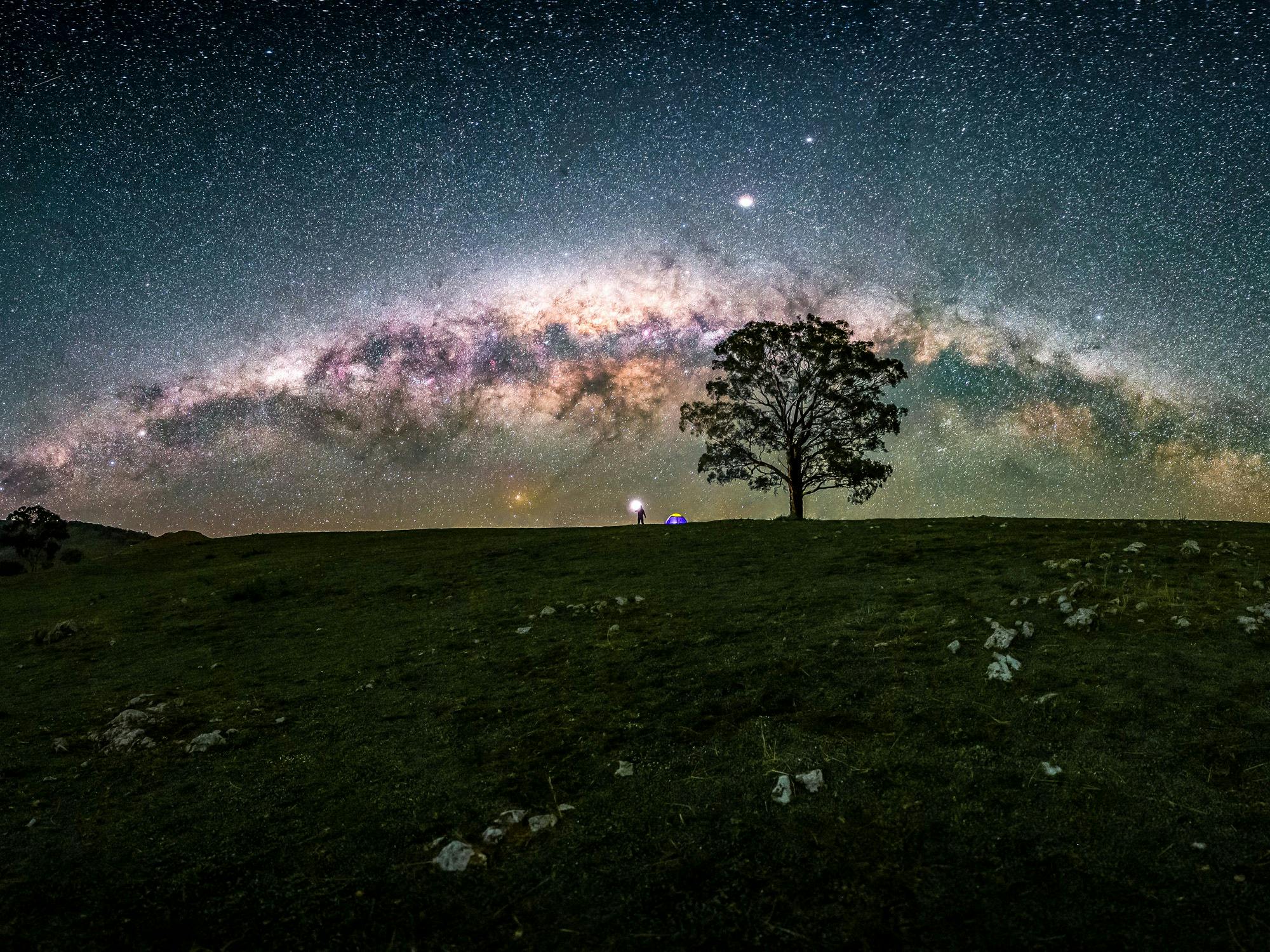 Milky Way Bow
