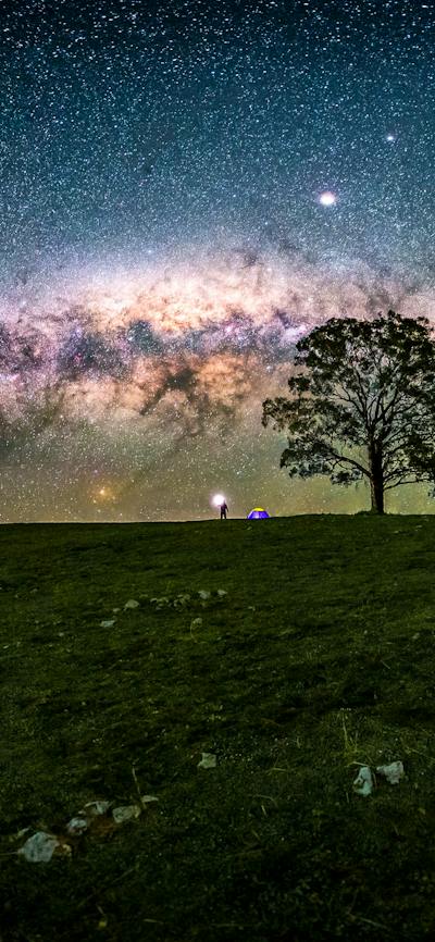 Milky Way Bow