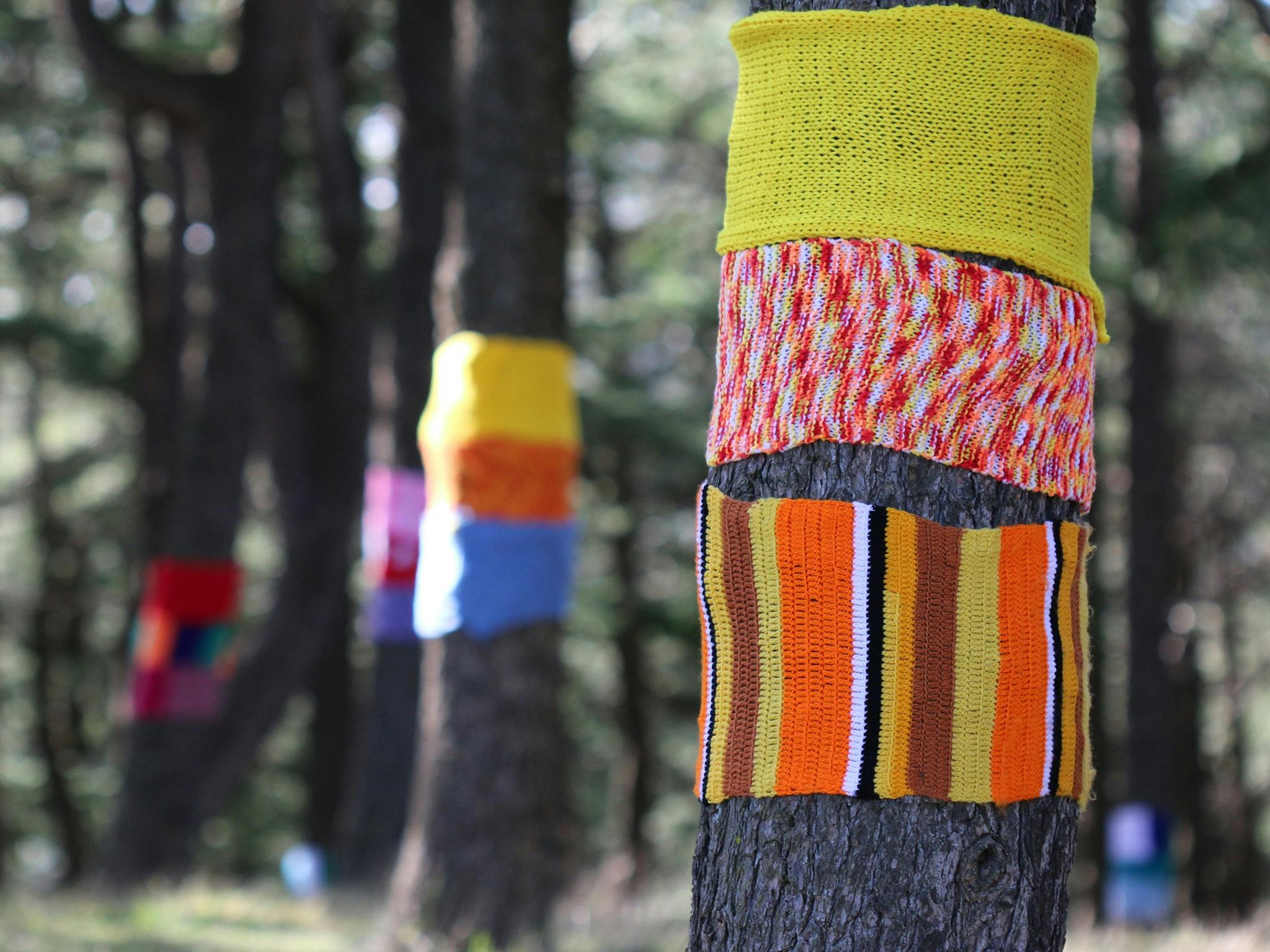 Warm Trees 1