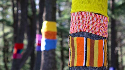 Warm Trees 1