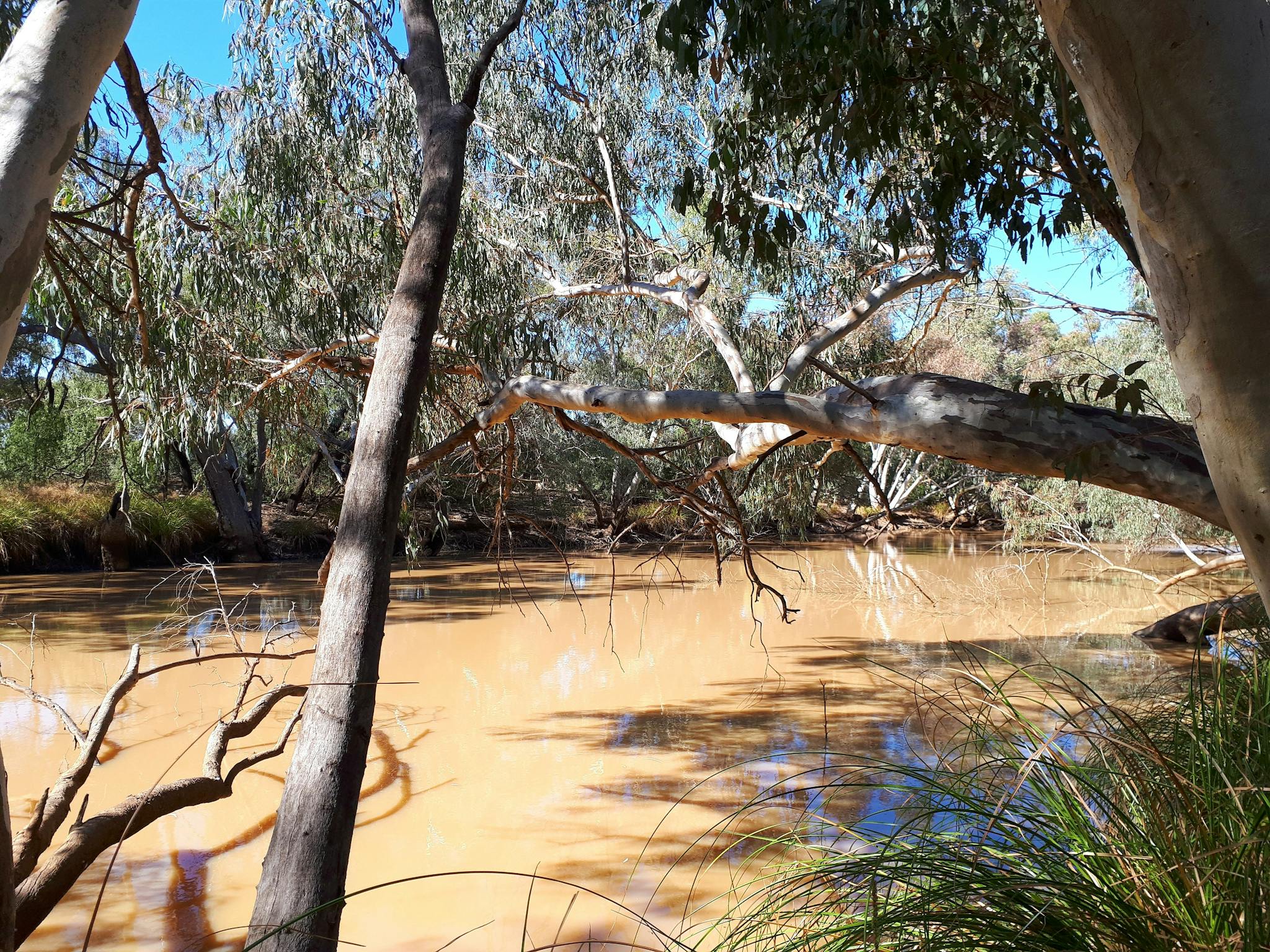 Wallam Creek Wallam Creek