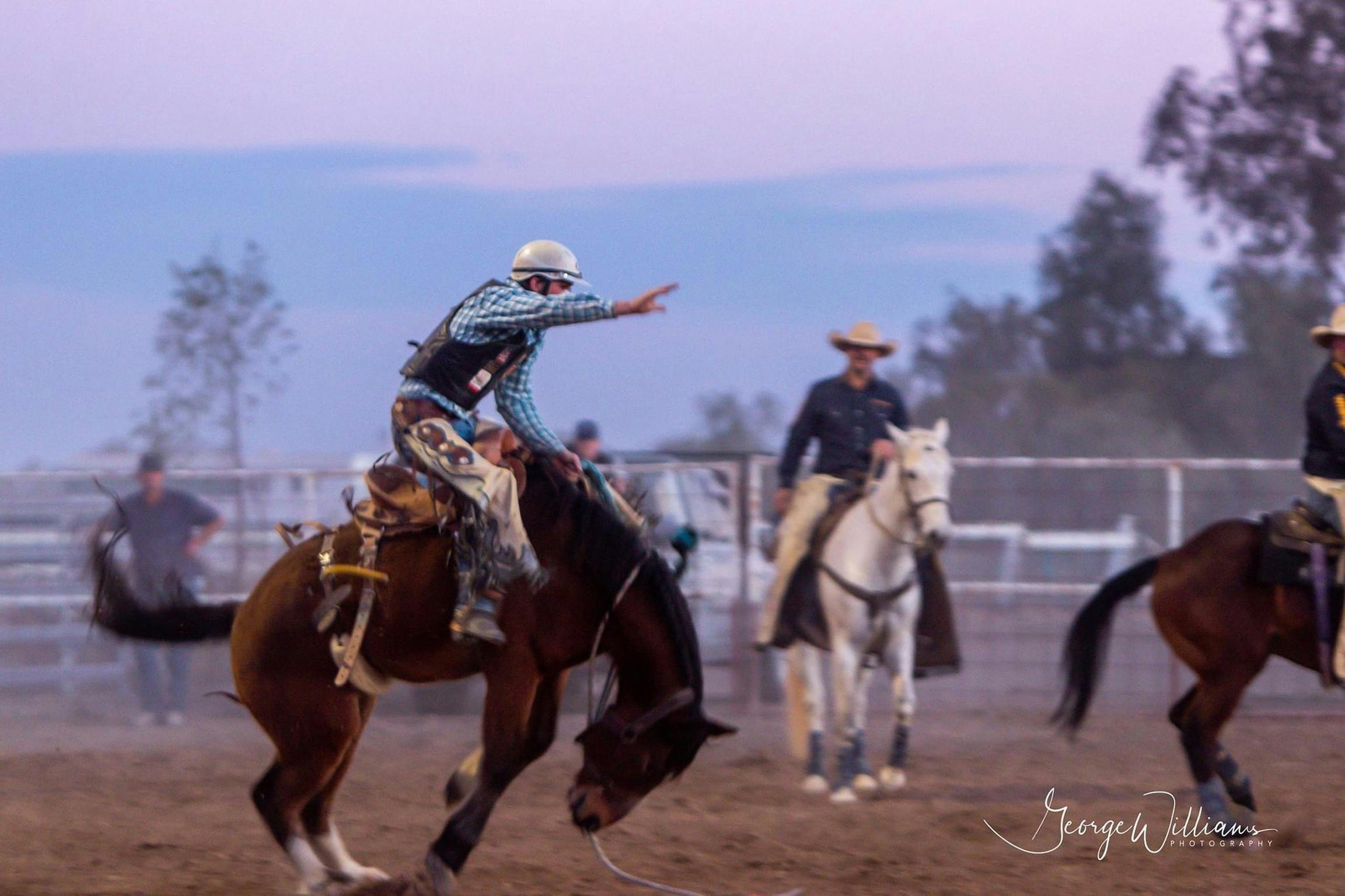 Walgett Charity Bushman's Carnival Rodeo and Campdraft NSW Holidays