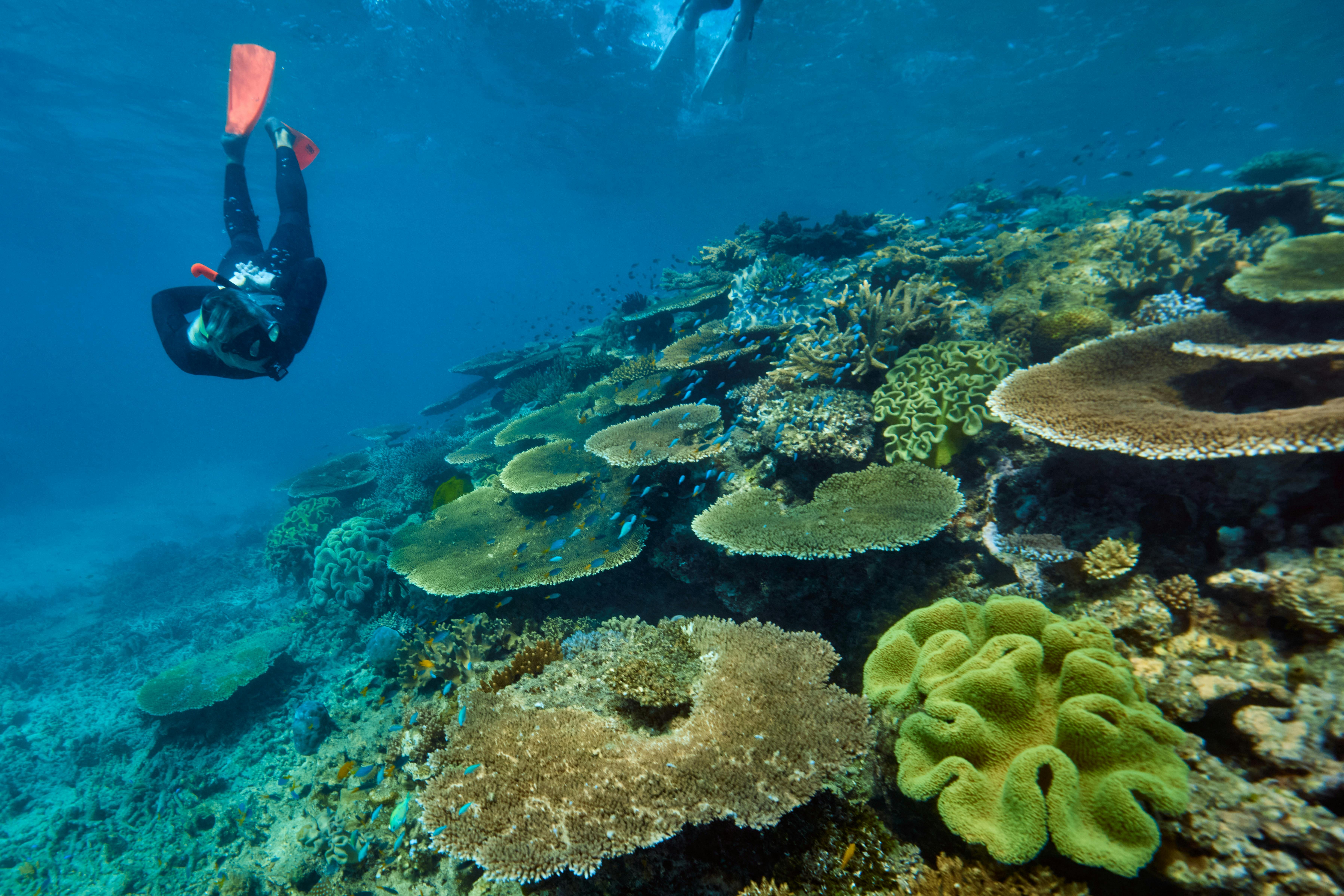 Beautiful Snorkeling locations