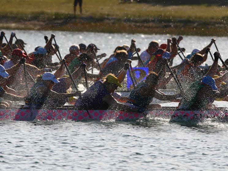 Rainbow Regatta Dragonboat Racing