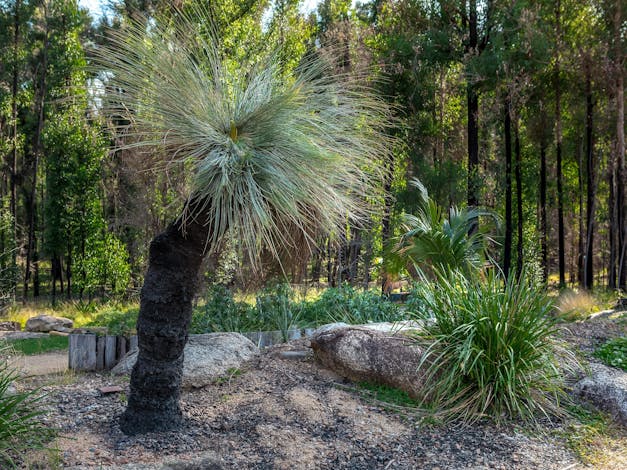 Eurobodalla Regional Botanic Garden