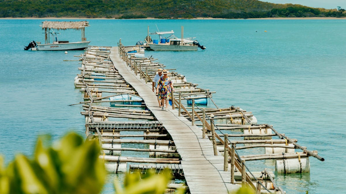 Jetty