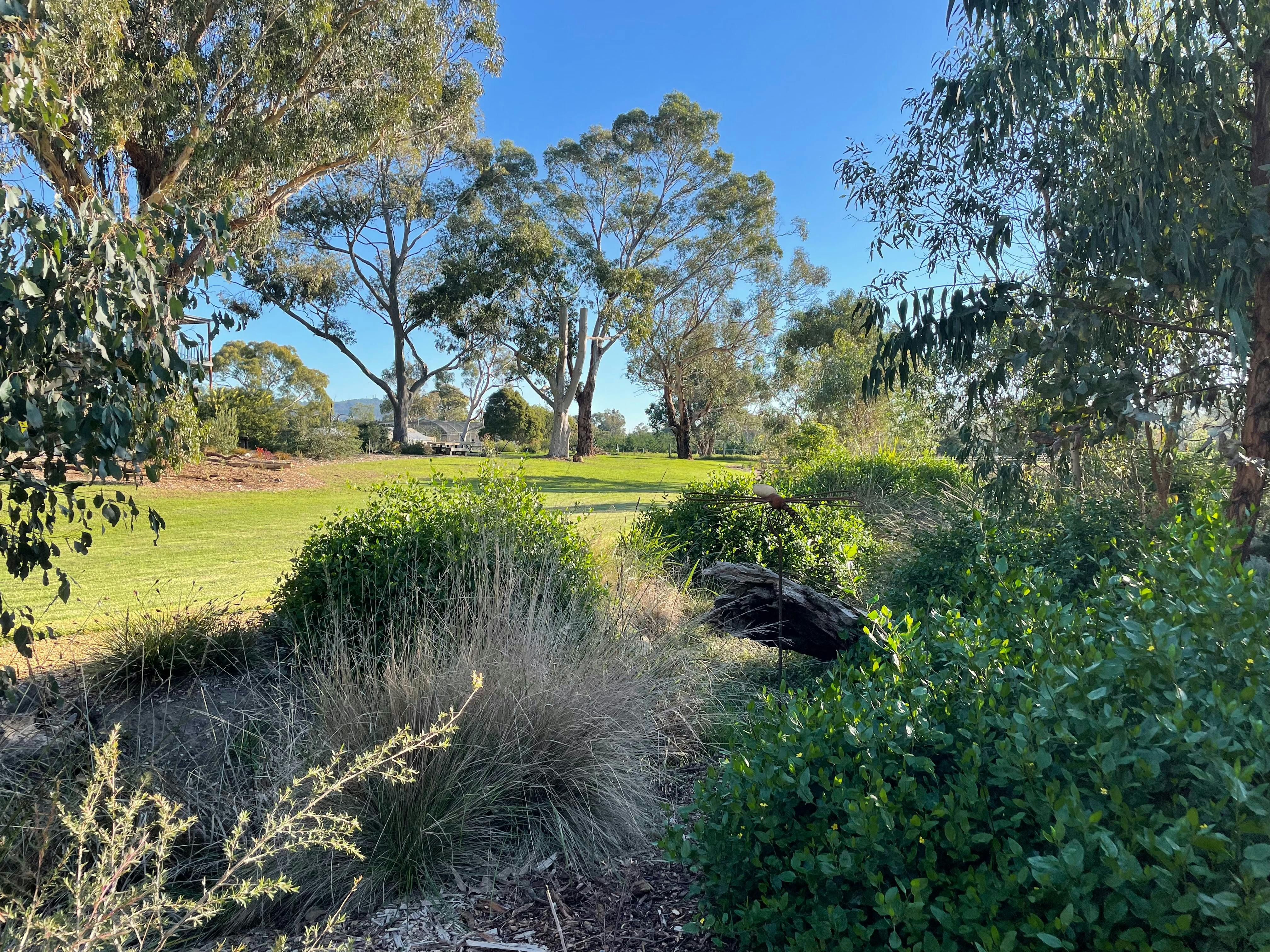 Open Gardens Victoria - Tahree