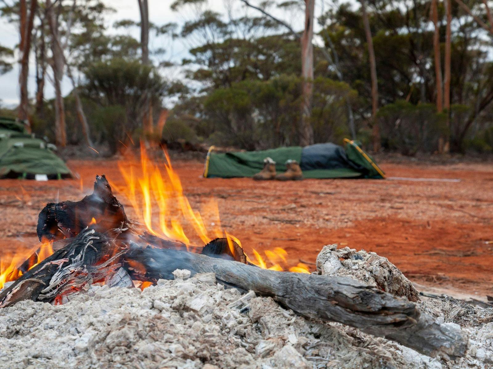 a campfire in the morning with swags visible in the background