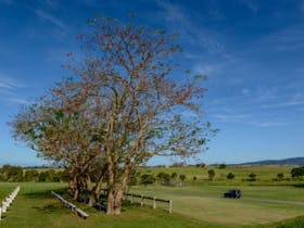 Milton Showground camp sites Milton Showground camp sites