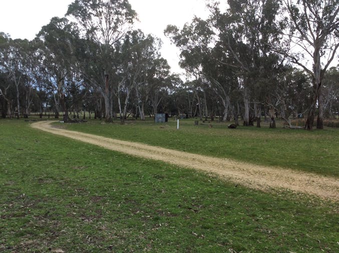 Black Cockatoo Bush Camp