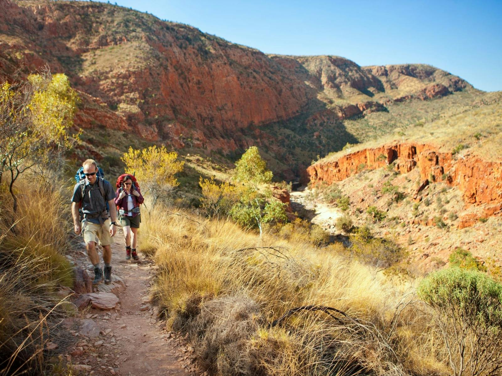 Hiking Larapinta trail