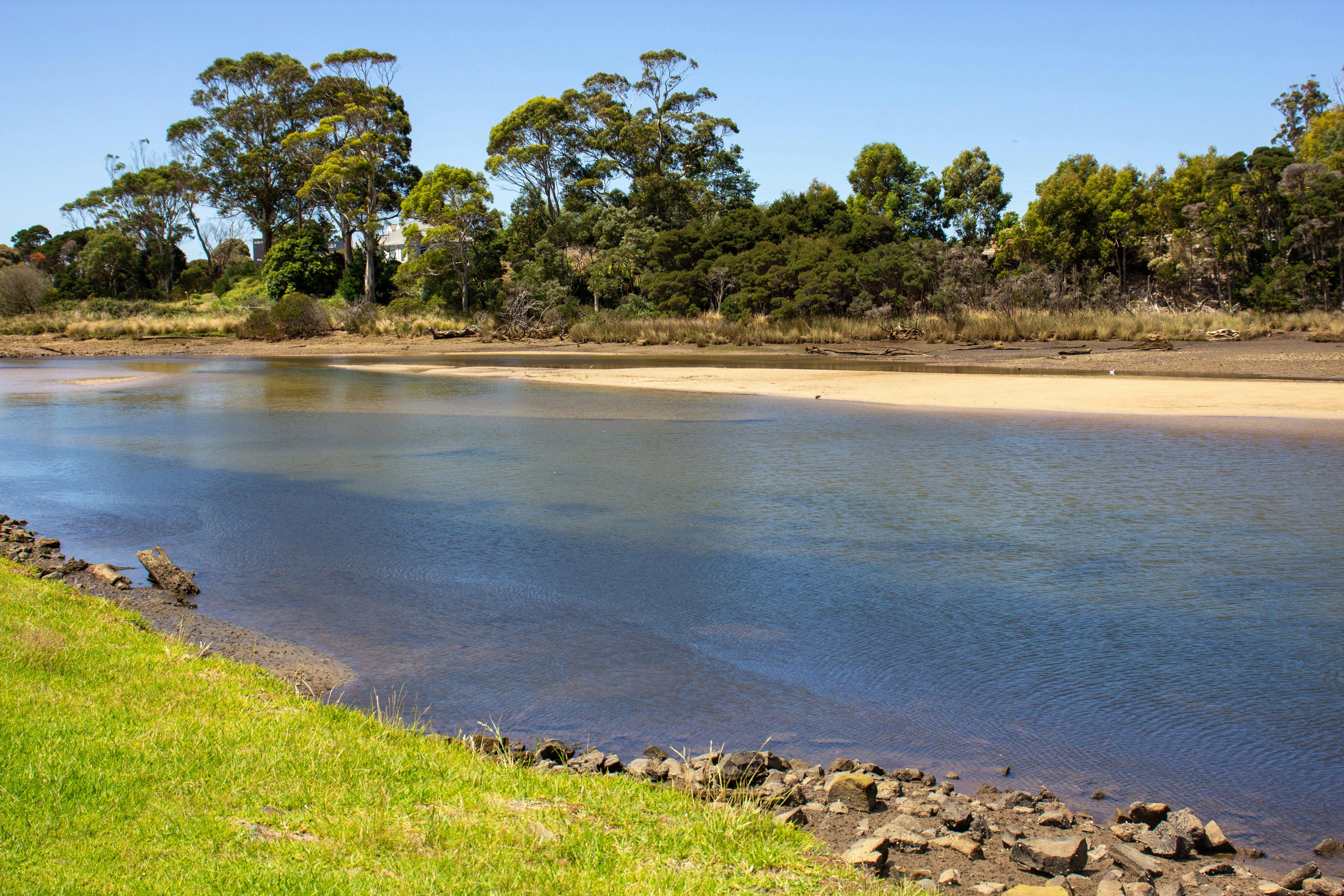 Cam River Reserve, Somerset