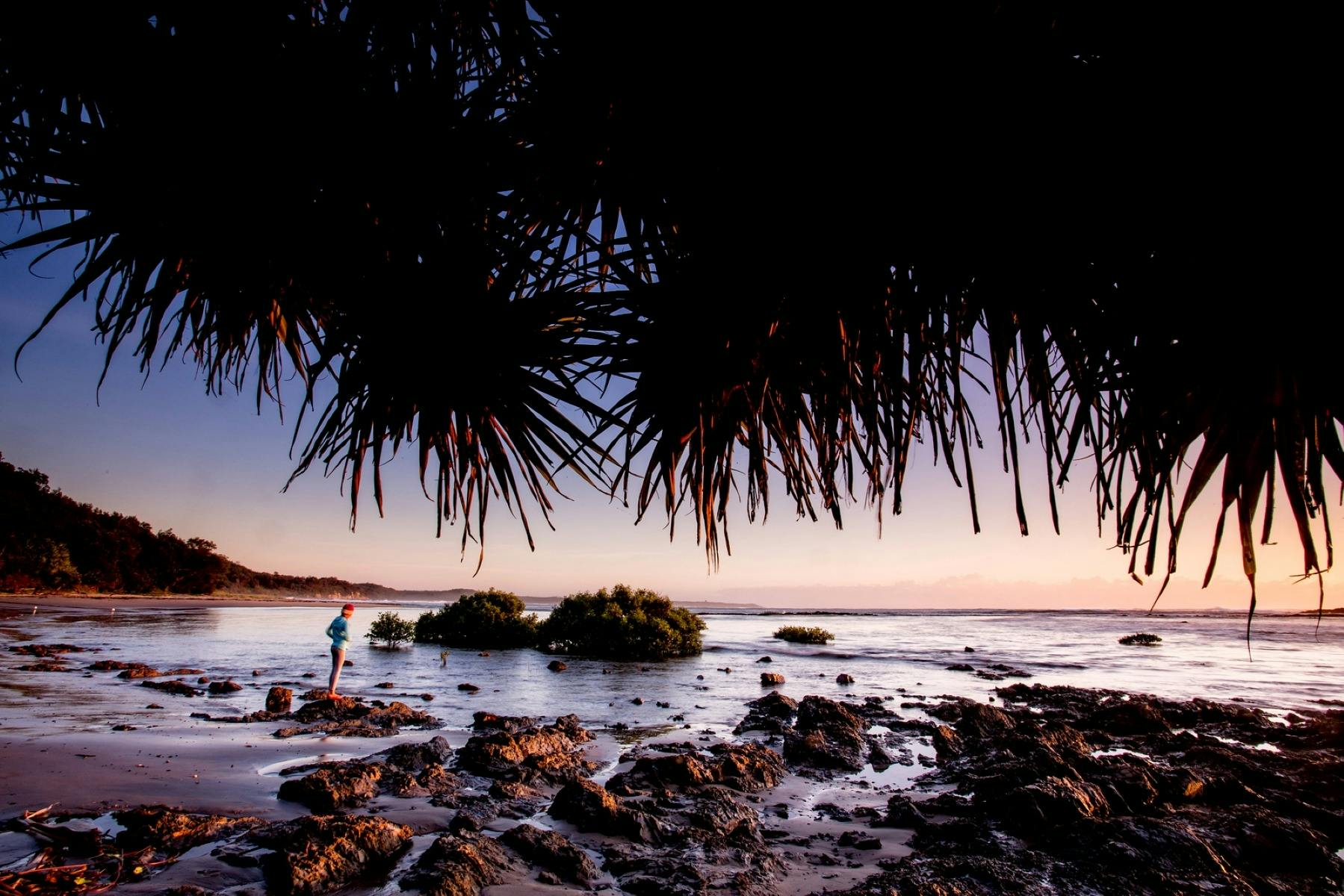 Wooli Beach | NSW Holidays & Accommodation, Things To Do, Attractions ...