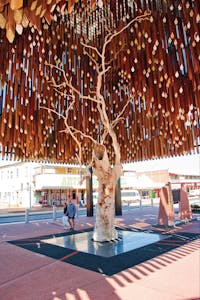The Beautiful Tree of Knowledge in the Centre of Town