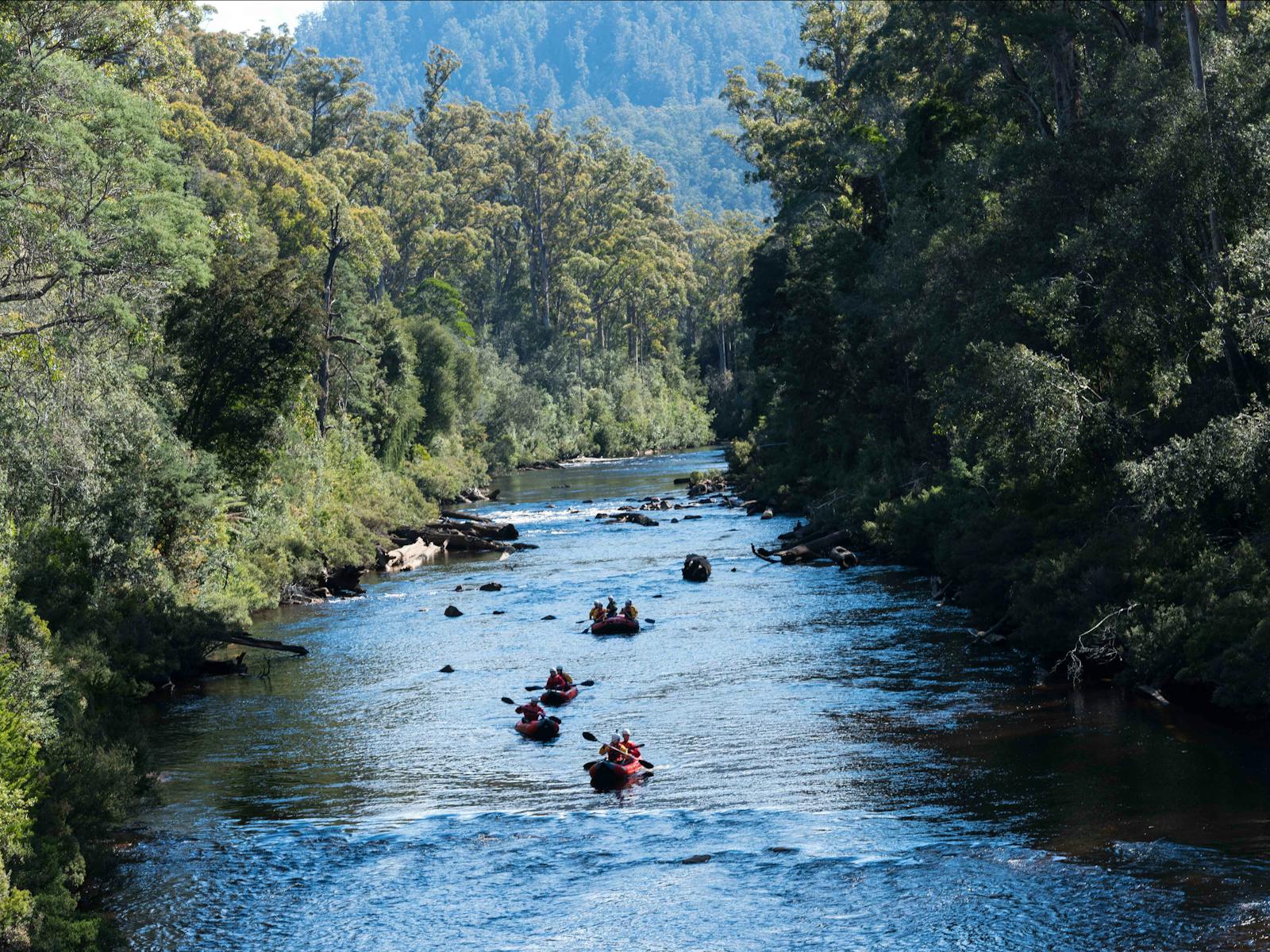 You'll see the Twin Rivers Adventure guest rafting down the Huon River while walking on the Airwalk.