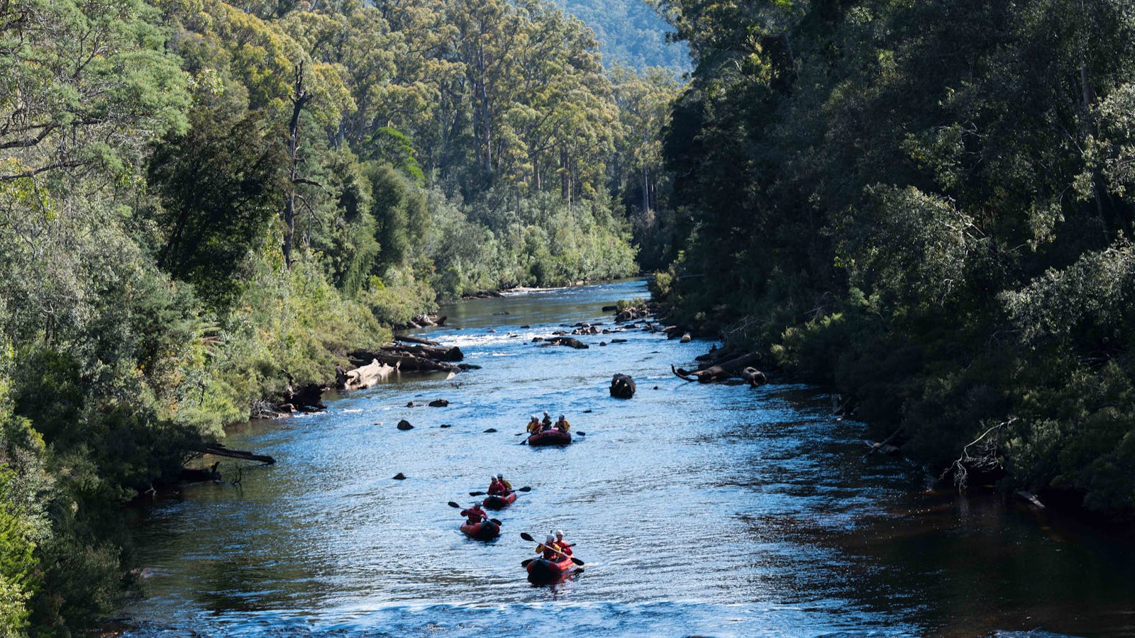 Twin Rivers Adventure available at Tahune Adventures Tasmania