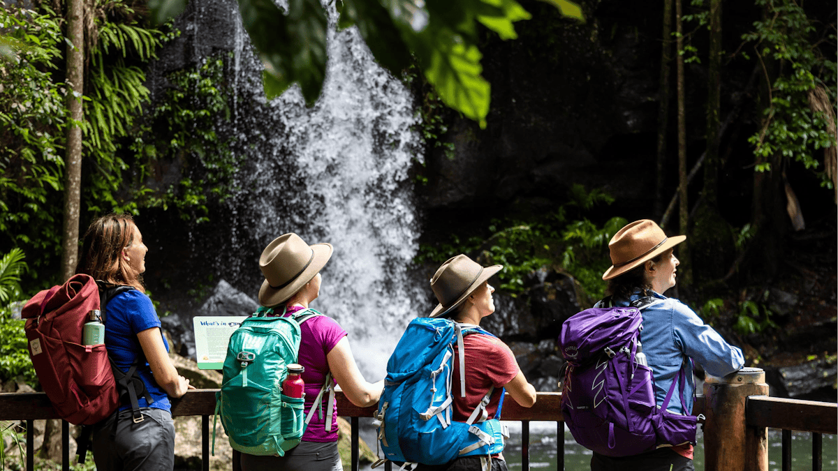 Four hikers standing at a fence overlooking a running waterfall in the Scenic Rim