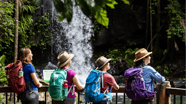 Four hikers standing at a fence overlooking a running waterfall in the Scenic Rim