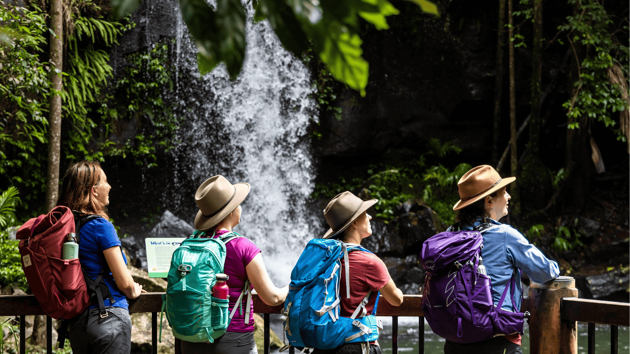 Four hikers standing at a fence overlooking a running waterfall in the Scenic Rim Four hikers standing at a fence overlooking a running waterfall in the Scenic Rim