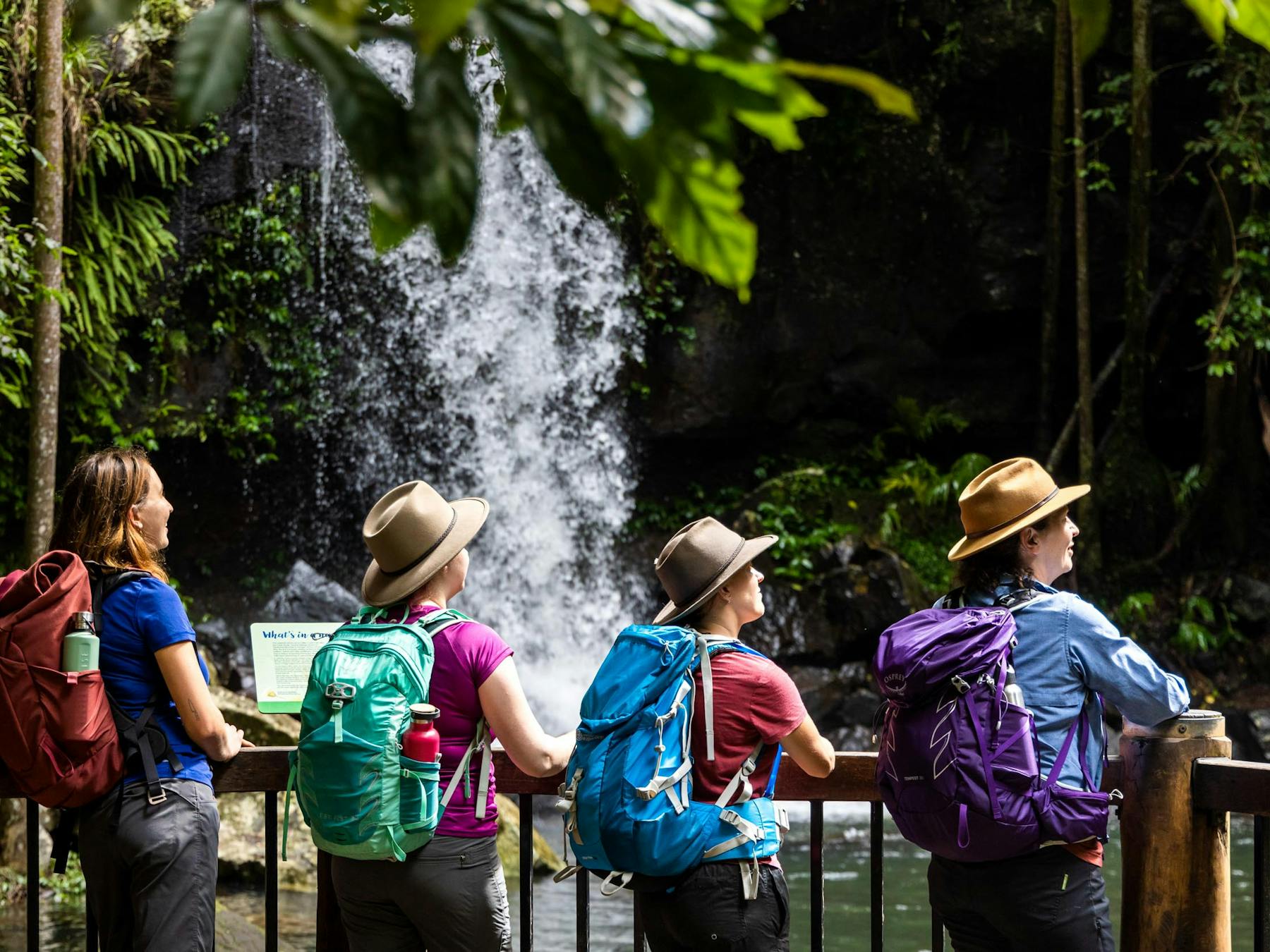 Guided Walks Scenic Rim