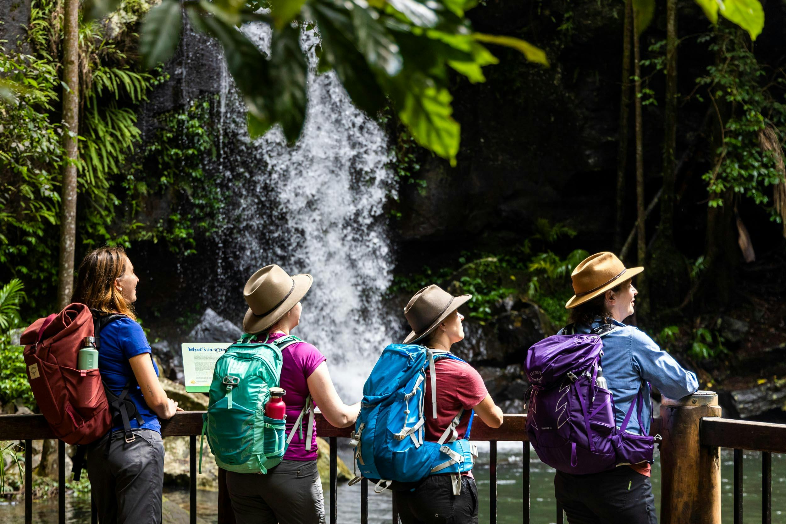 Guided Walks Scenic Rim
