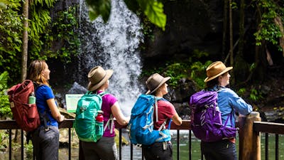 Guided Walks Scenic Rim