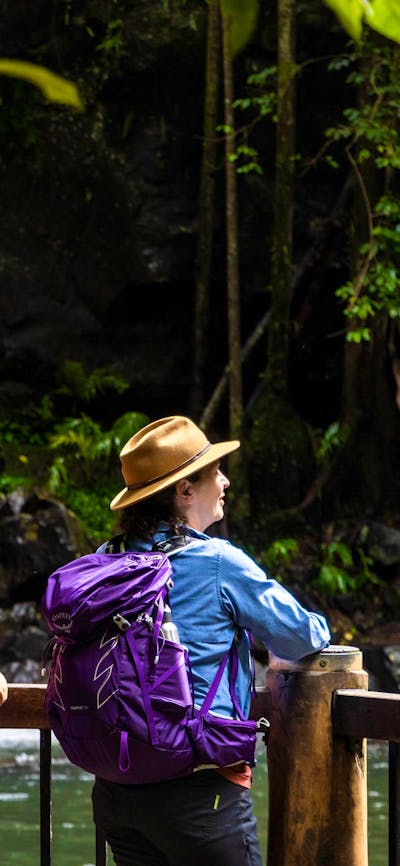 Guided Walks Scenic Rim