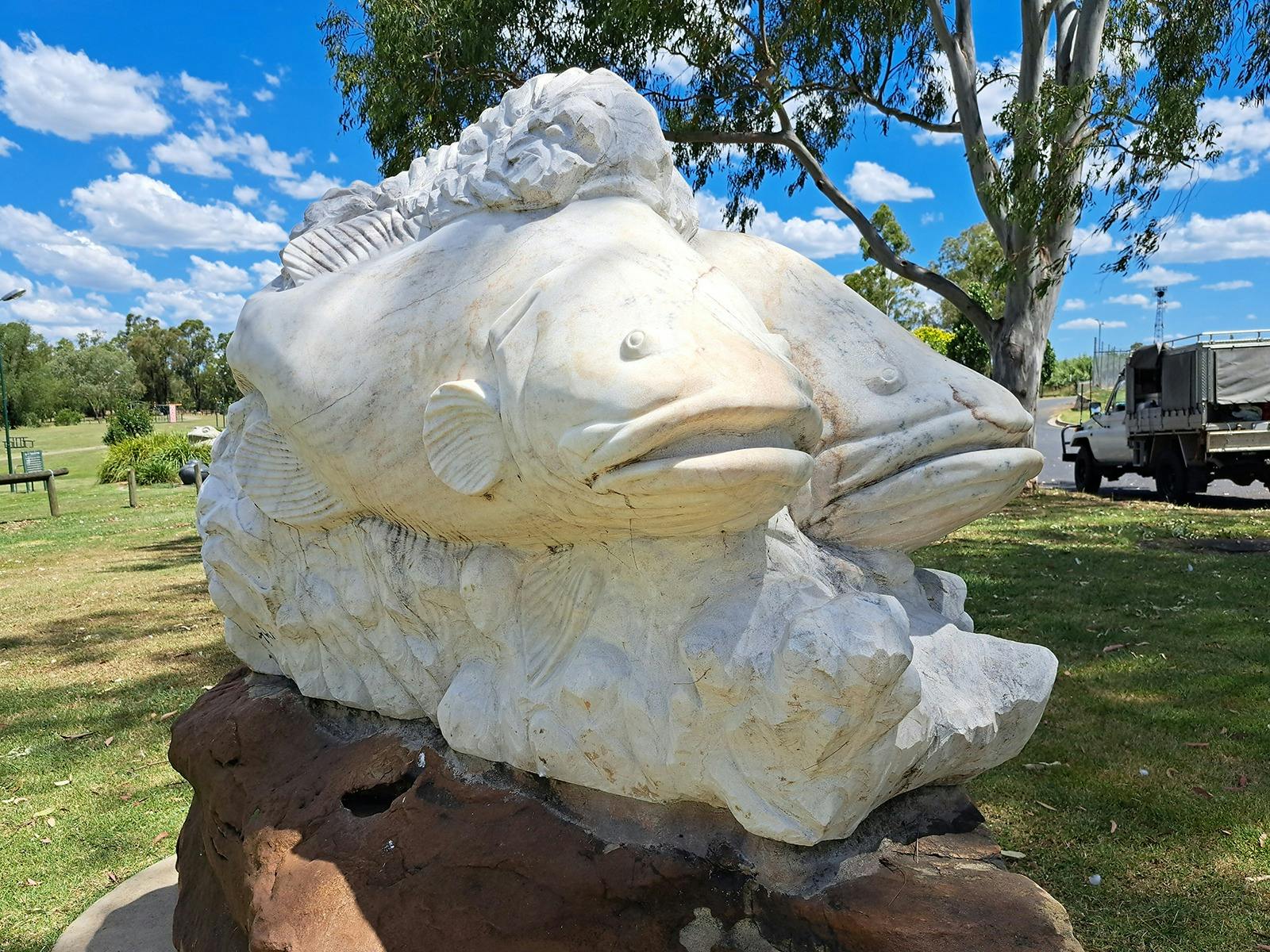 Breeding Pair of Murray Cod by Paul Stumkat