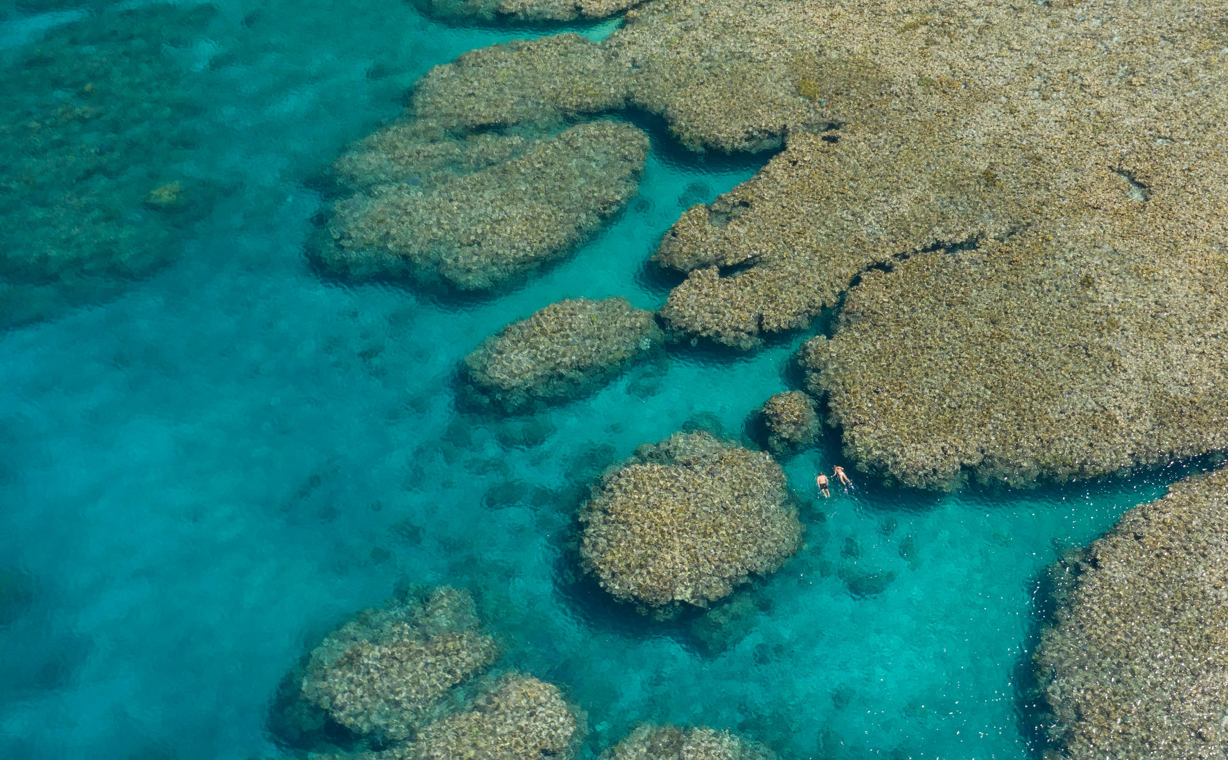 reef