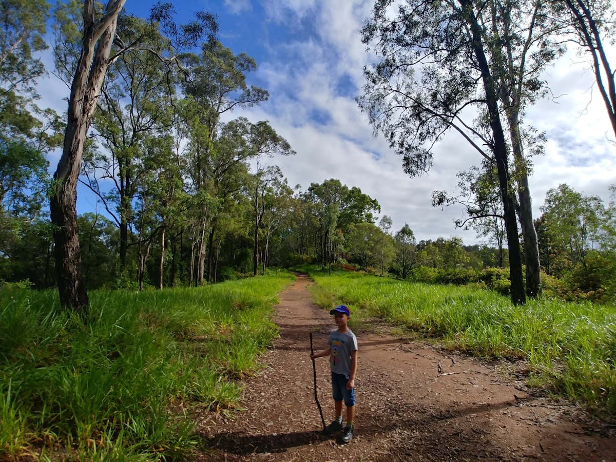 Boy hiking in the Samford Conservation Forest