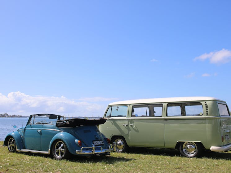 Twisted Vine Unique Tour Classic VW photoshoot