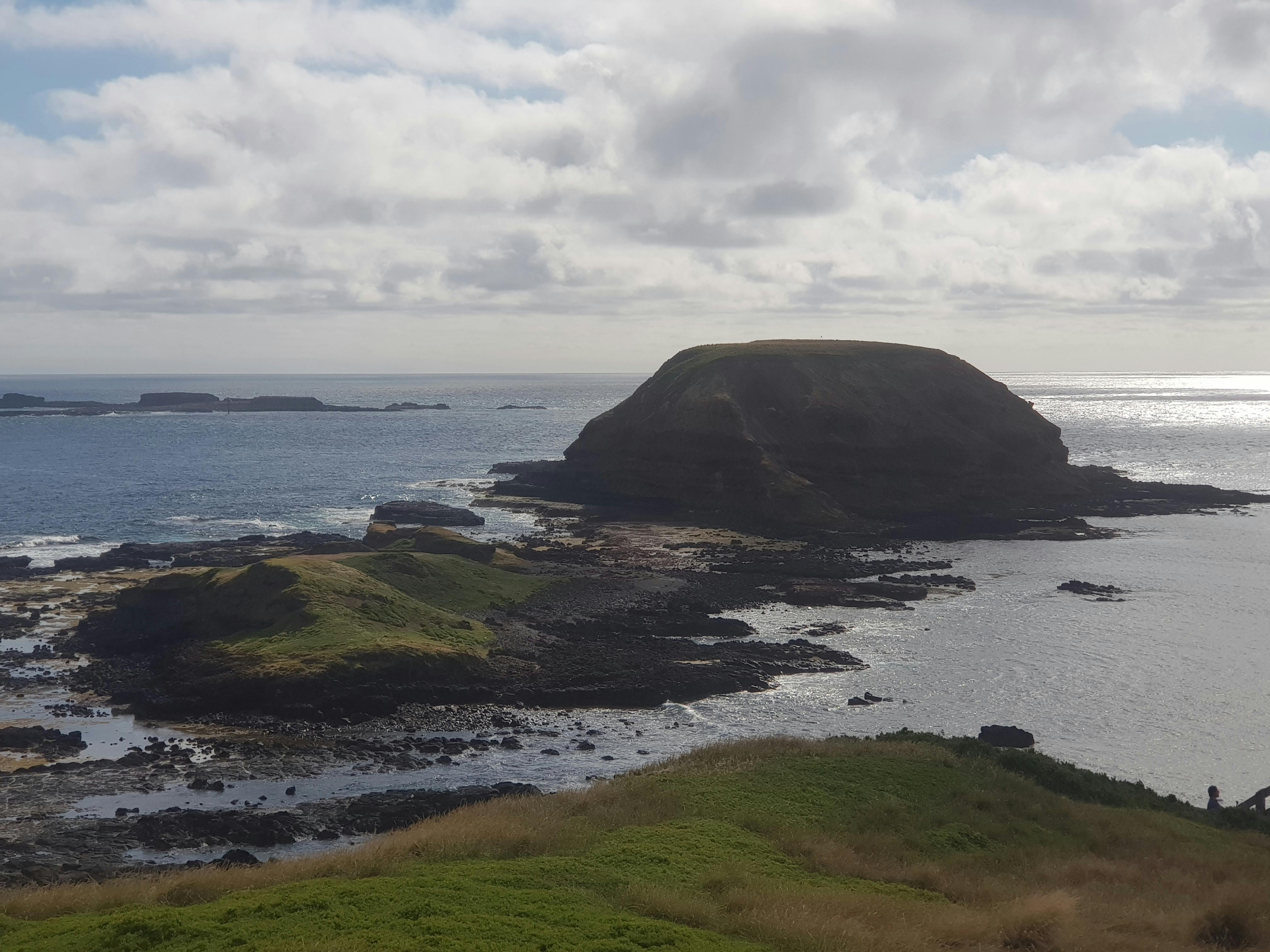 Phillip Island The Nobbies
