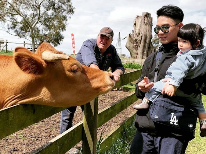 Guided Farm Tour with High Tea