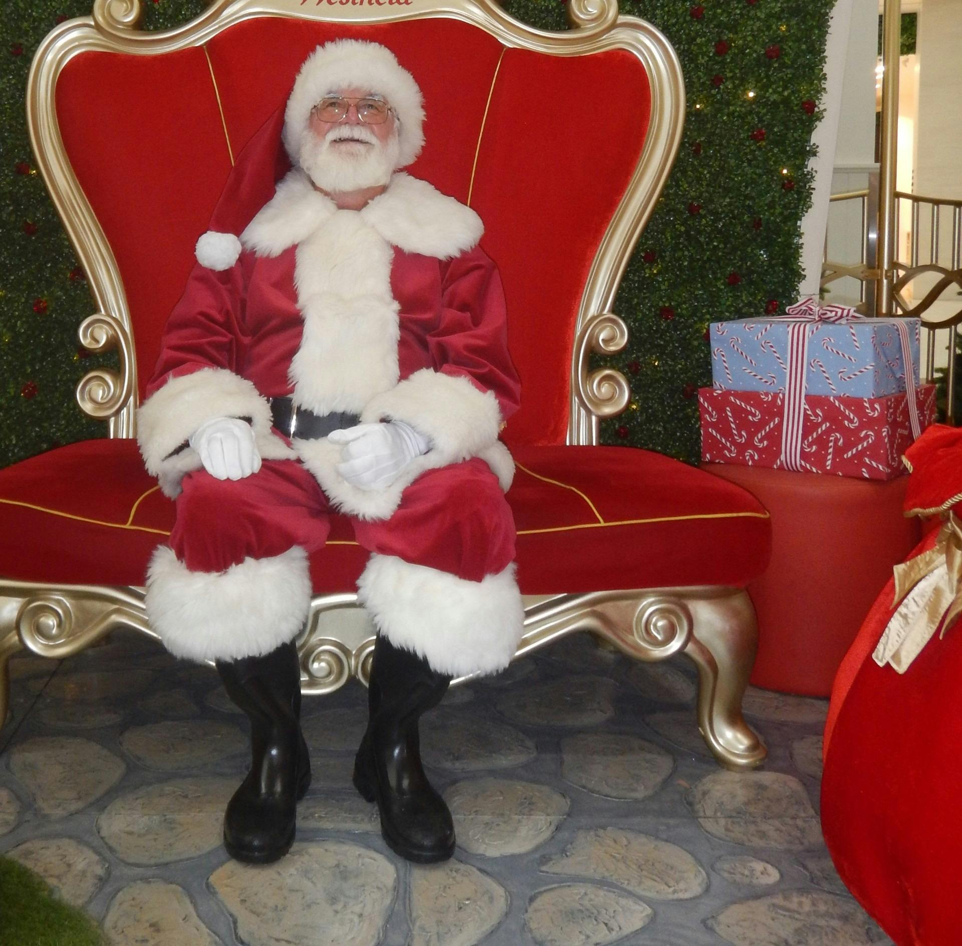 Professional Santa