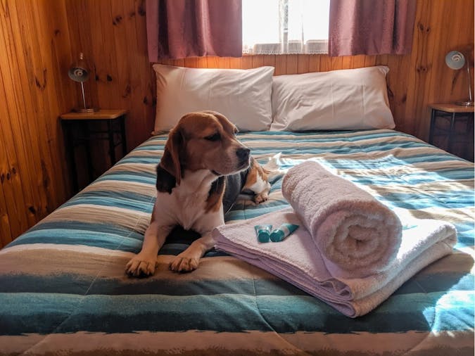 Riverbend Caravan Park, Pet Cabin Renmark, Sout...