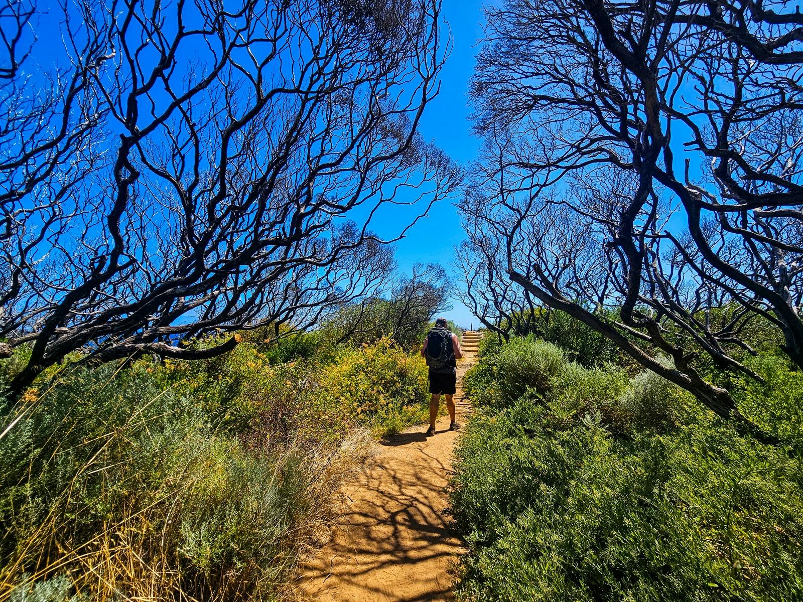 Cape to Cape Track, Margaret River
