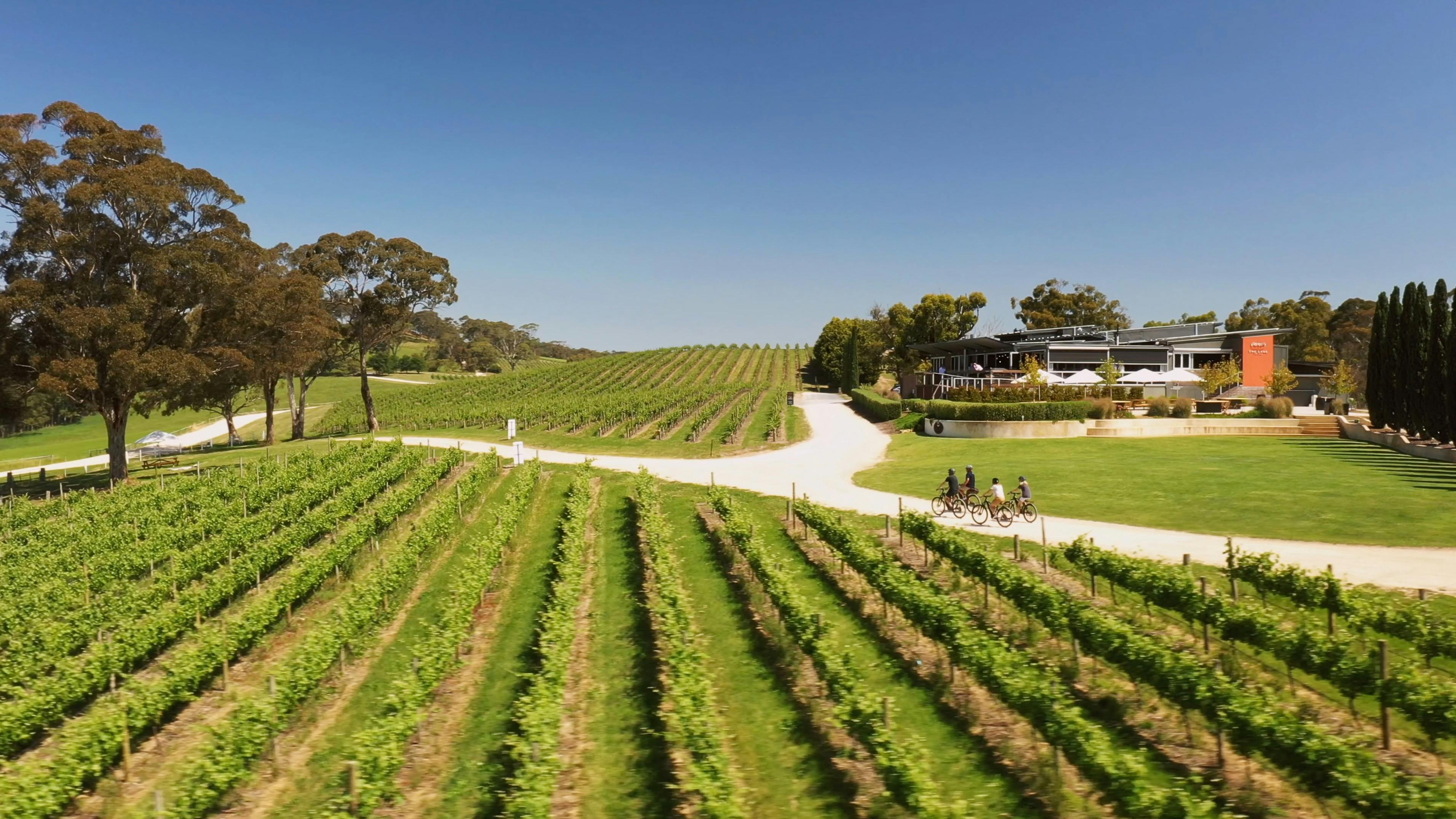 Adelaide Hills E-bike Tour