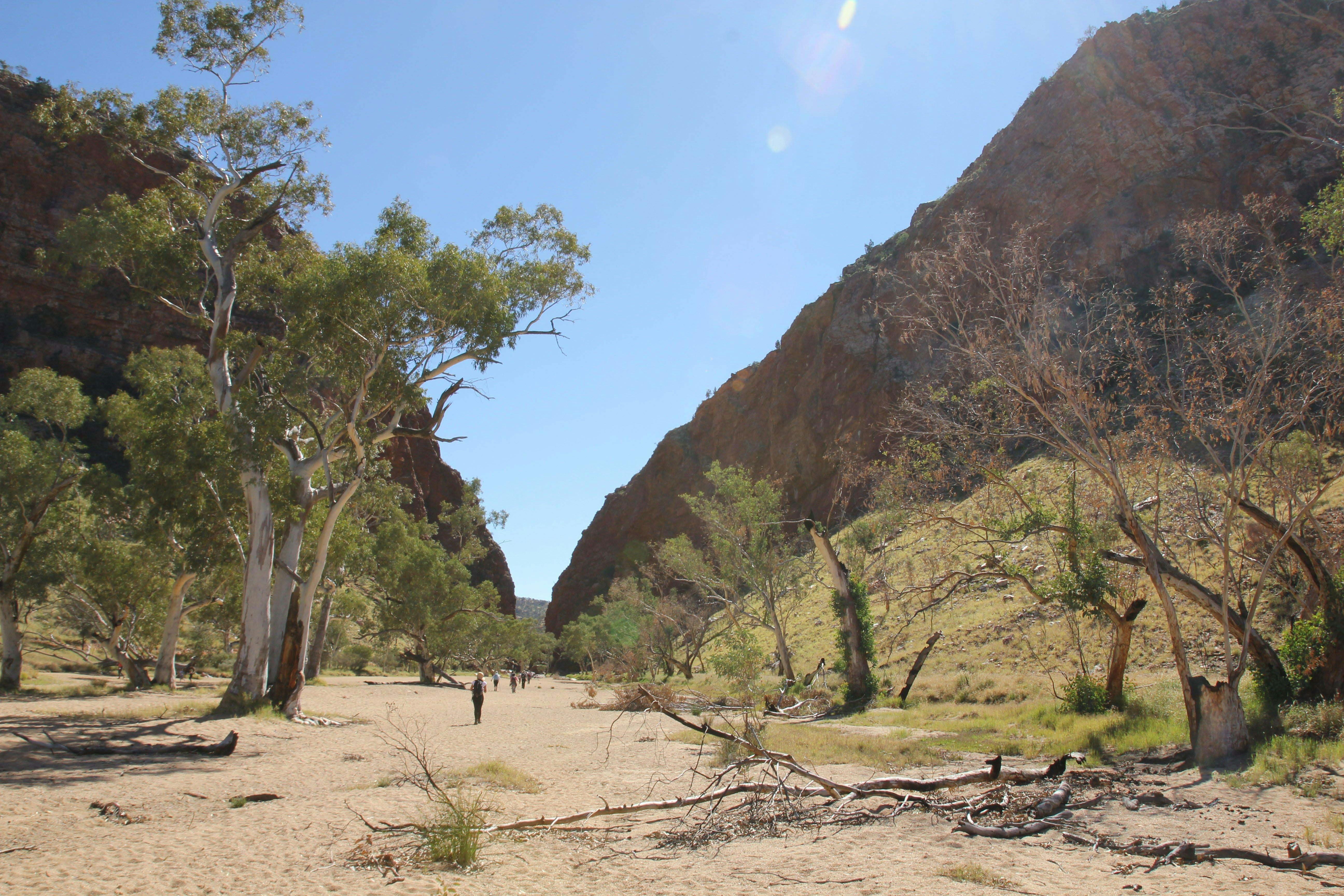 Larapinta Trail