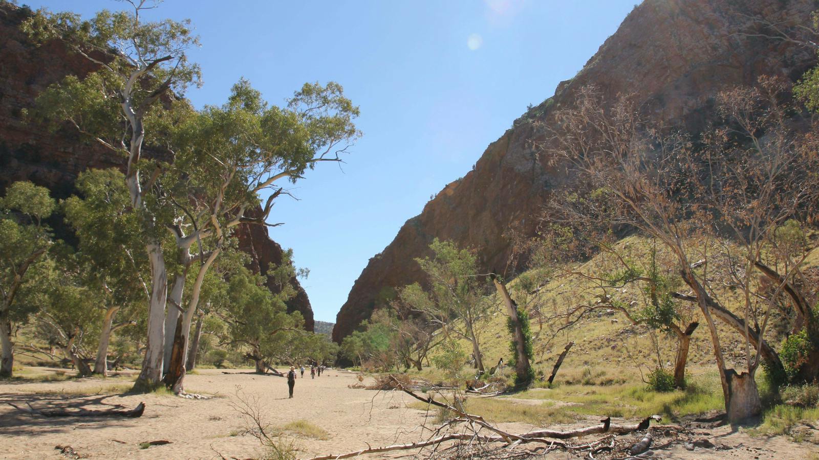 Larapinta Trail With World Expeditions
