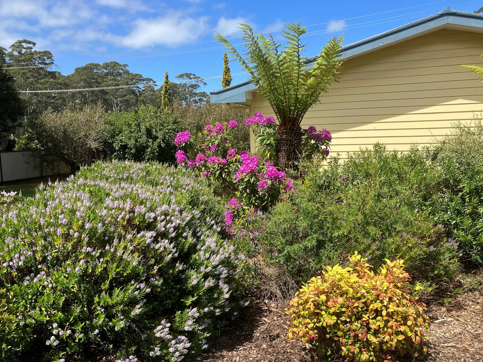 Colourful Gardens