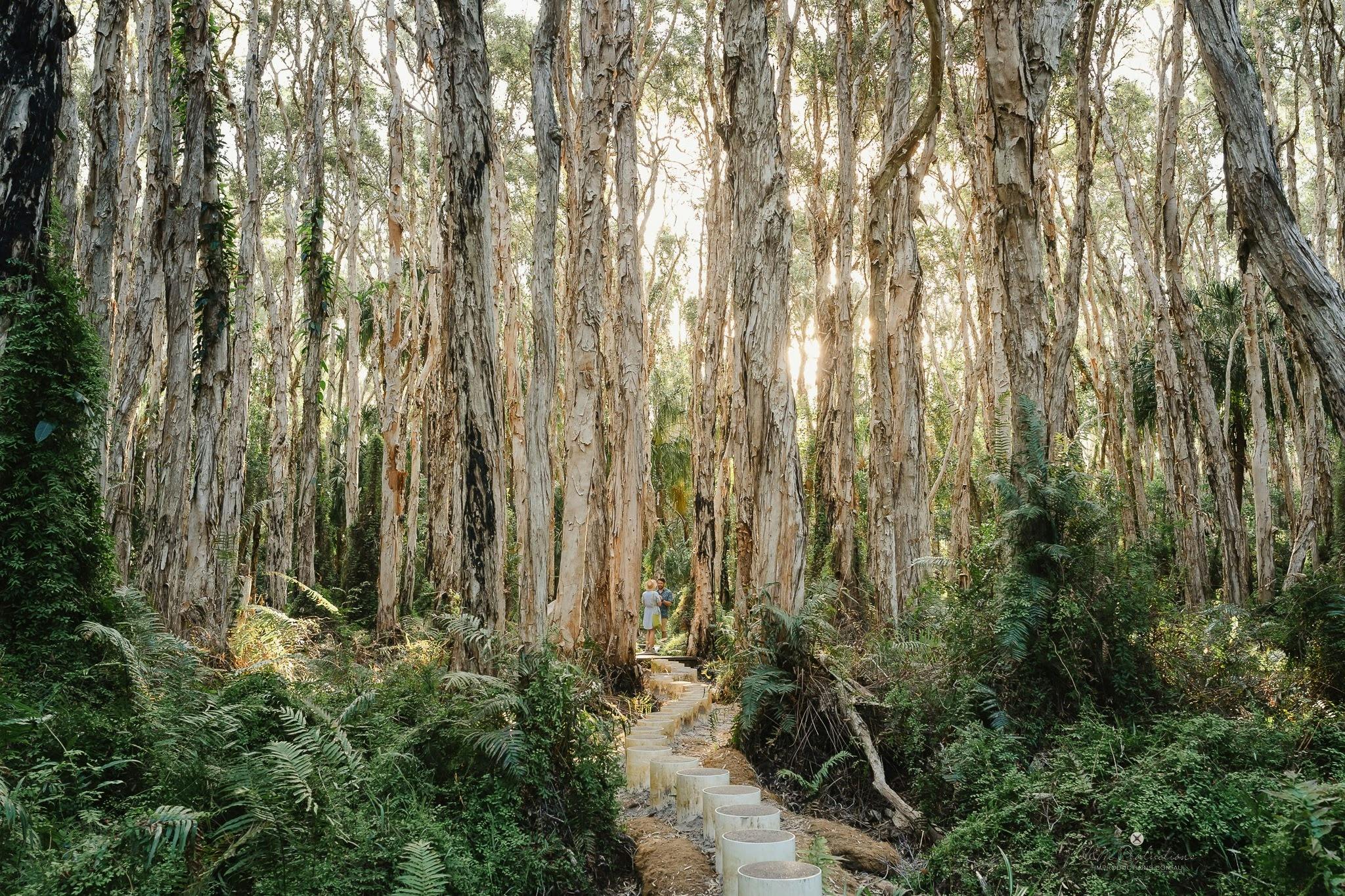 Capture Your Proposal with H&M Productions