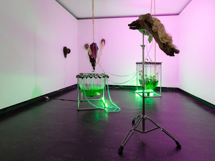 Green neon illuminating contraptions in a purple room, with objects hanging.